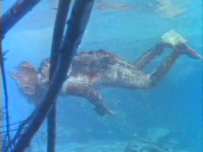 Swamp of the Lost Monster (1957) El Pantano de las animas | Region-Free (DVD) - Image 3