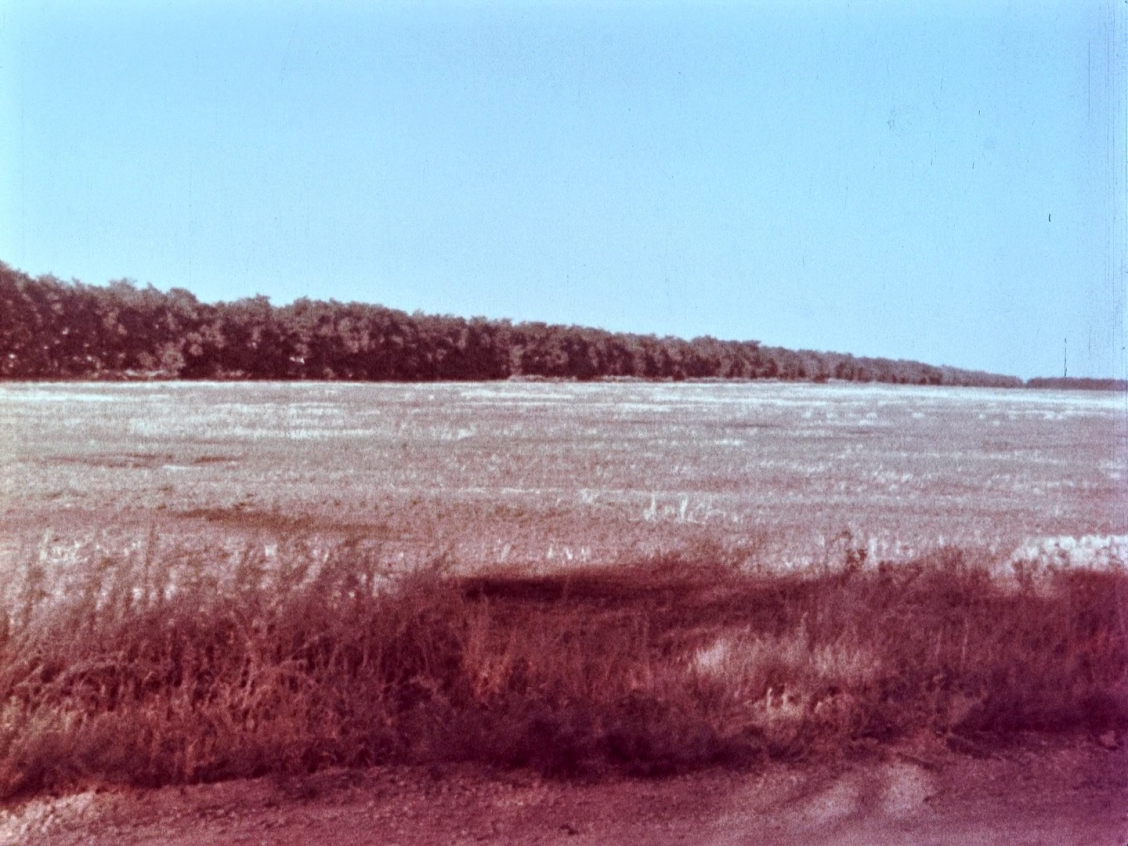 Dina (1991) | Region-Free (Blu-Ray) | English Subtitles - Image 2