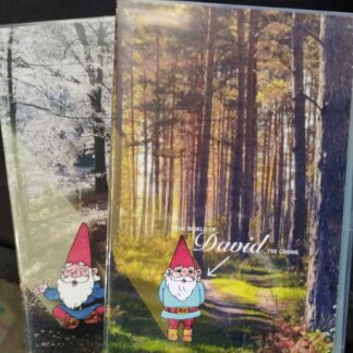 David the Gnome (1985-1987) | Complete Series | 2x Custom VHS Bundle