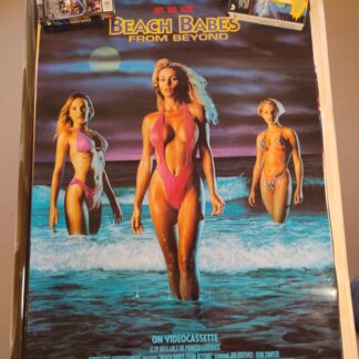 Beach Babes from Beyond Original Video Store Poster Torchligilht Rare