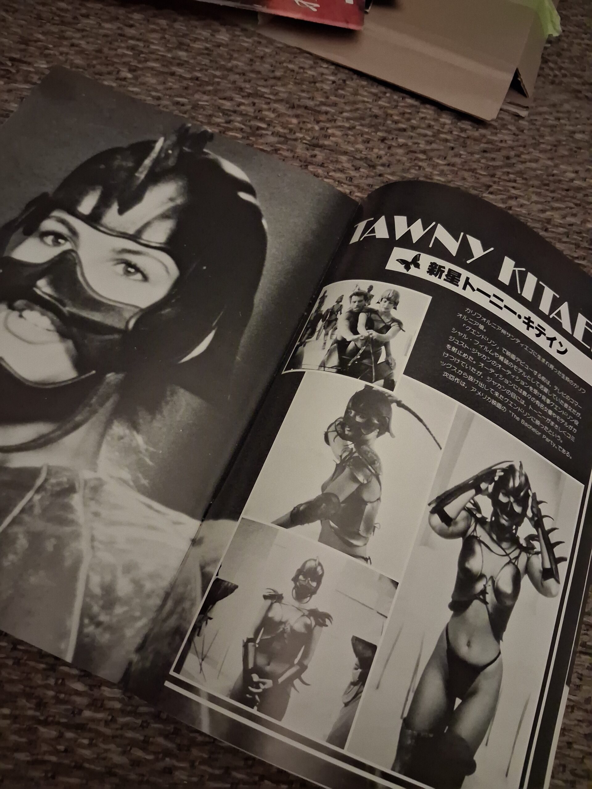 Gwendoline Original Japanese Program - Image 4