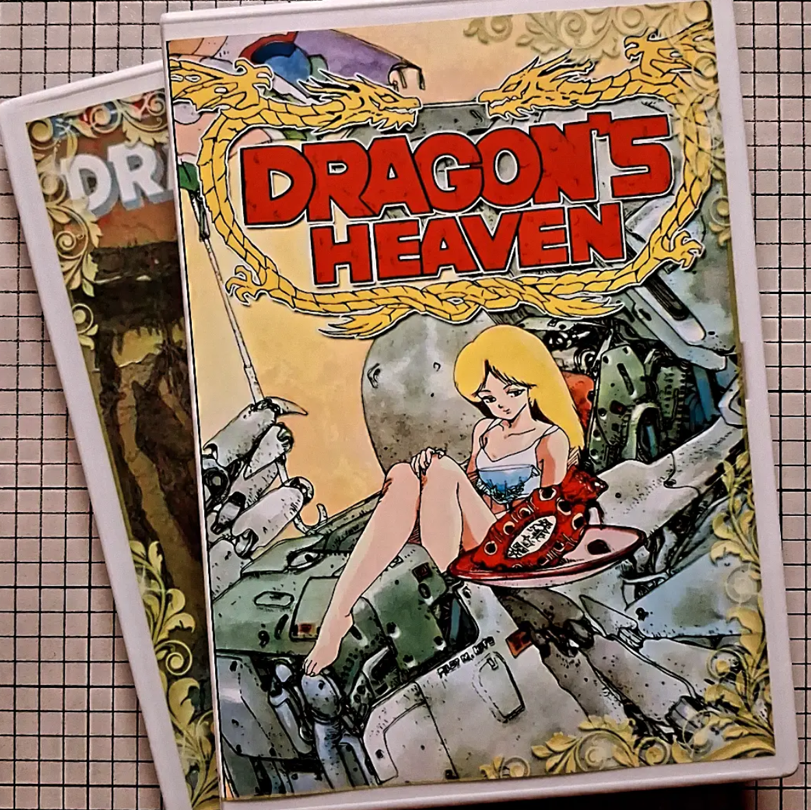 Dragon's Heaven (1988) OVA | Region-Free (DVD) | English Subtitles